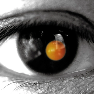 欧美人与禽性猛交狂配摘花
