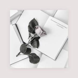 欧美人与禽性猛交狂配摘花
